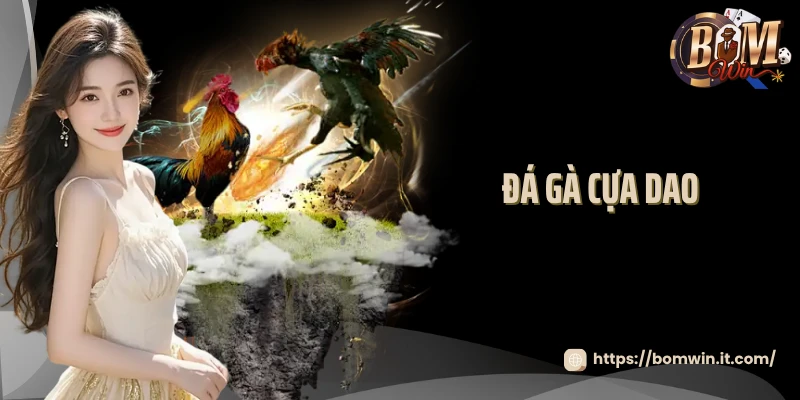Đá Gà Cựa Dao Bomwin - Livestream Các Trận Đấu Mãn Nhãn