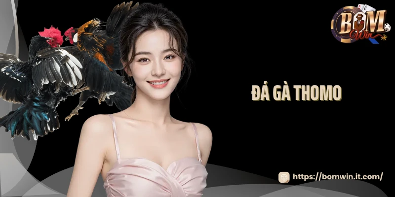 Đá Gà Thomo Bomwin: Tham Gia Đấu Trường Huyền Thoại Rực Lửa 